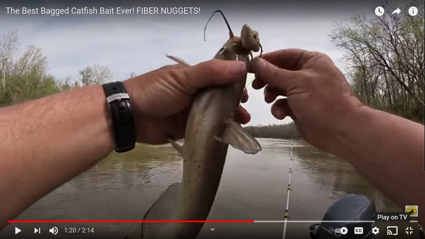 Manufactured Catfish Baits: Are They Worthwhile? – Vox Populi